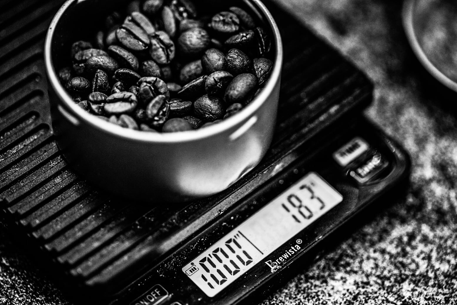 The different types of coffee beans