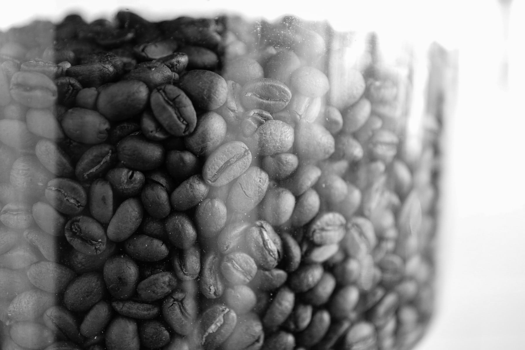 The History of Coffee Beans