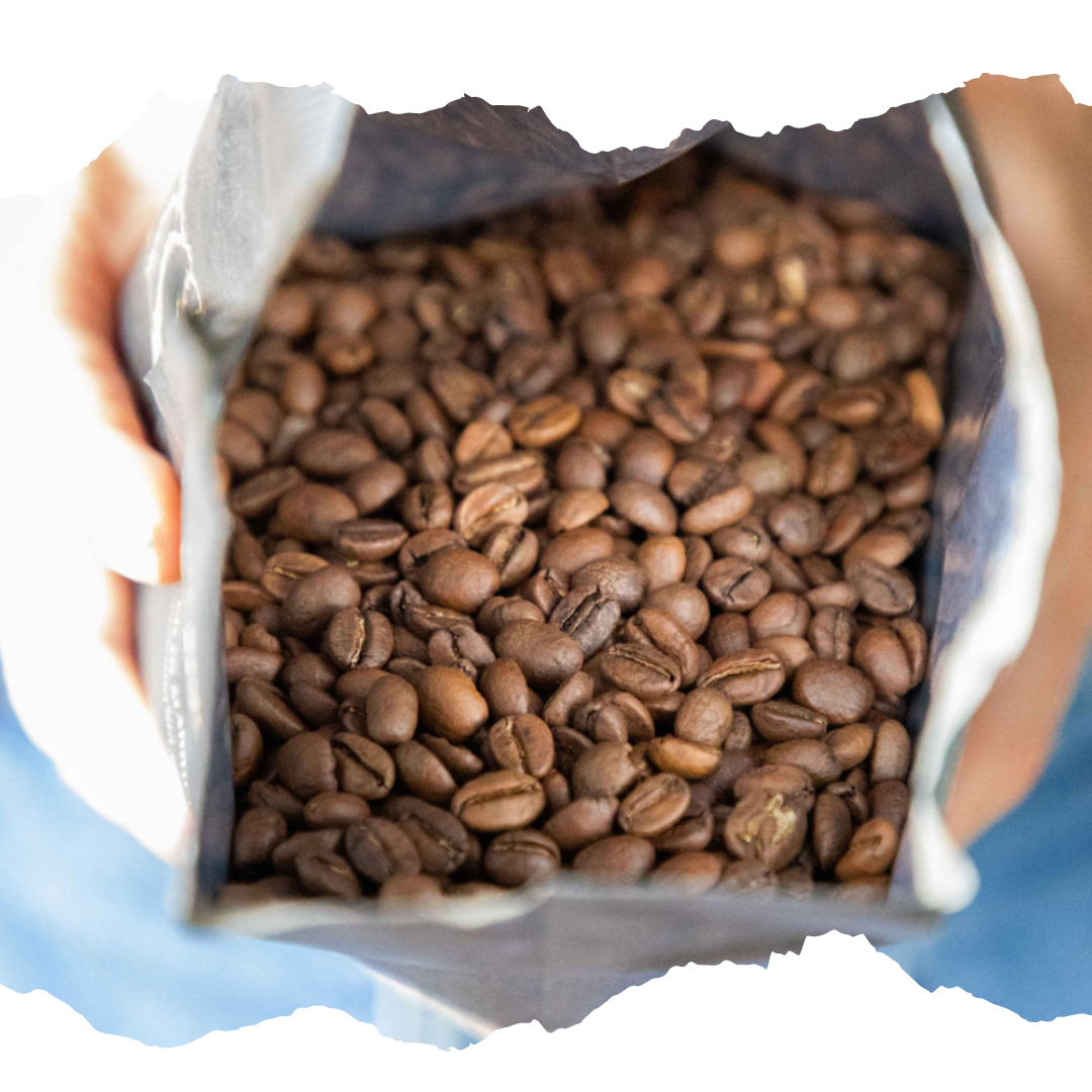 THE PHILOSOPHY OF FRESH COFFEE