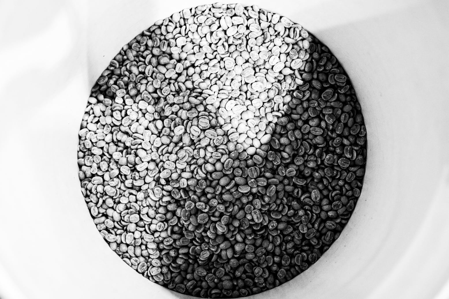Where is coffee grown?