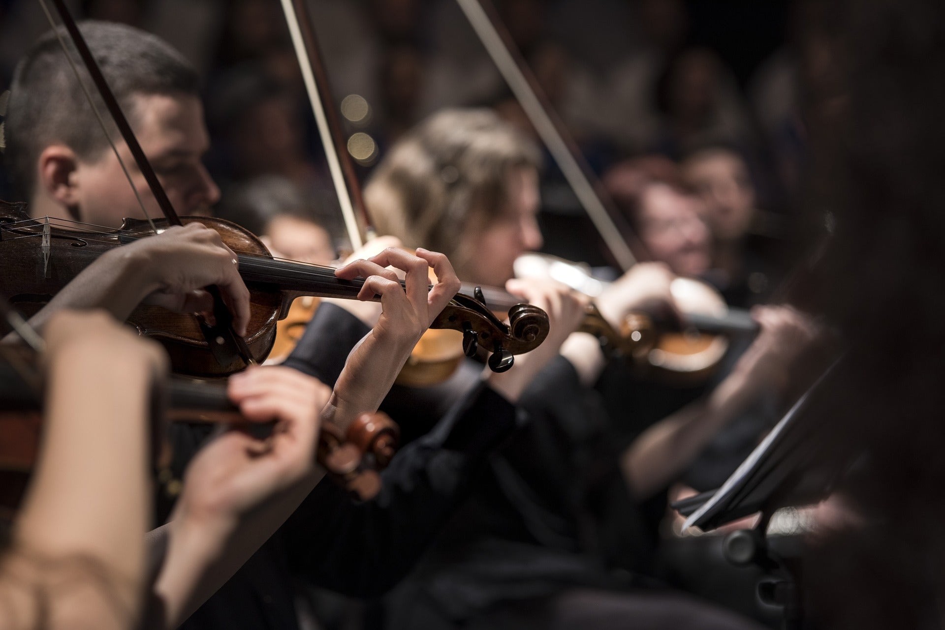 LA SYMPHONIE DU CAFE