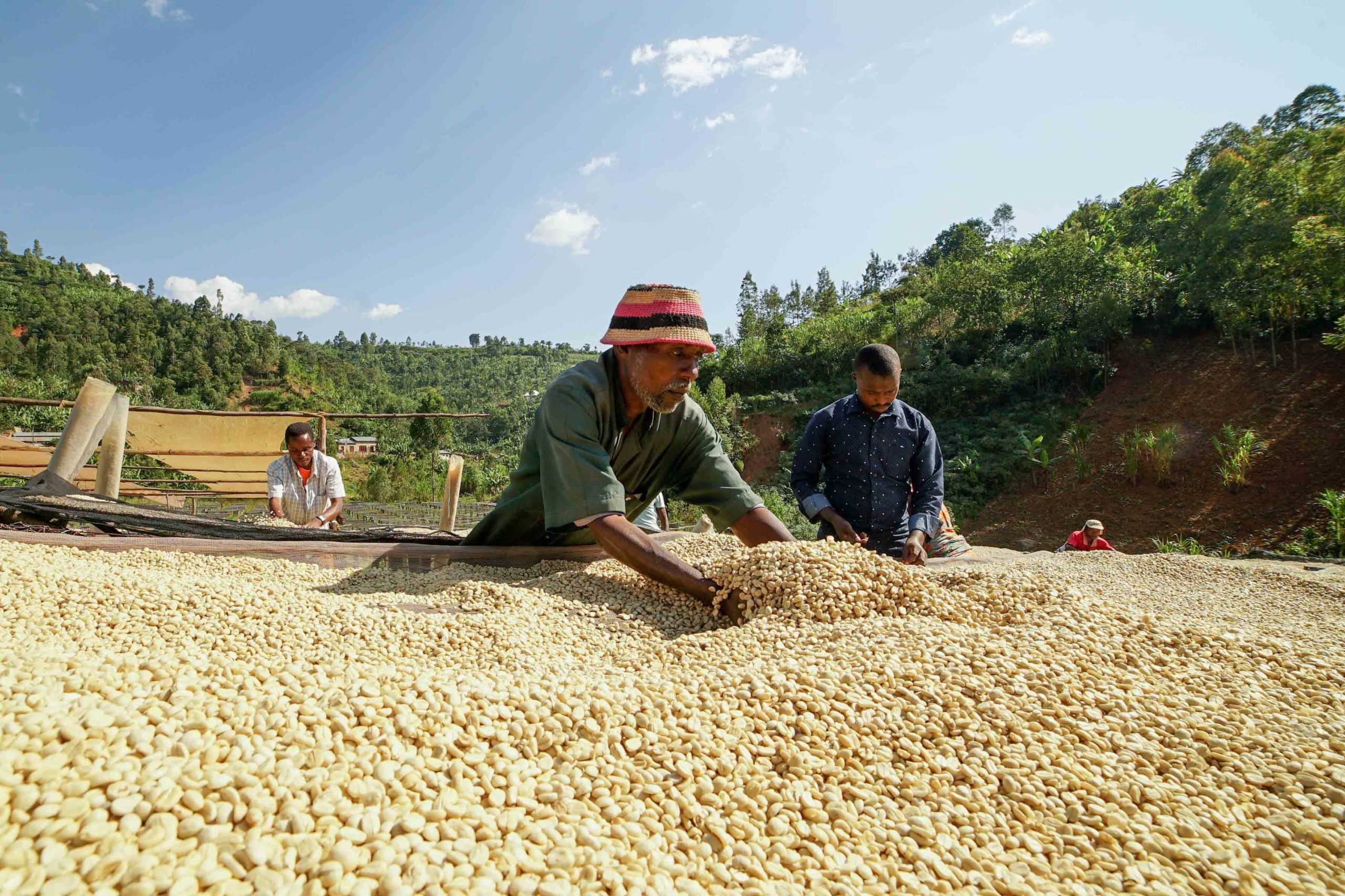 COFFEE OF THE MONTH: MARCH