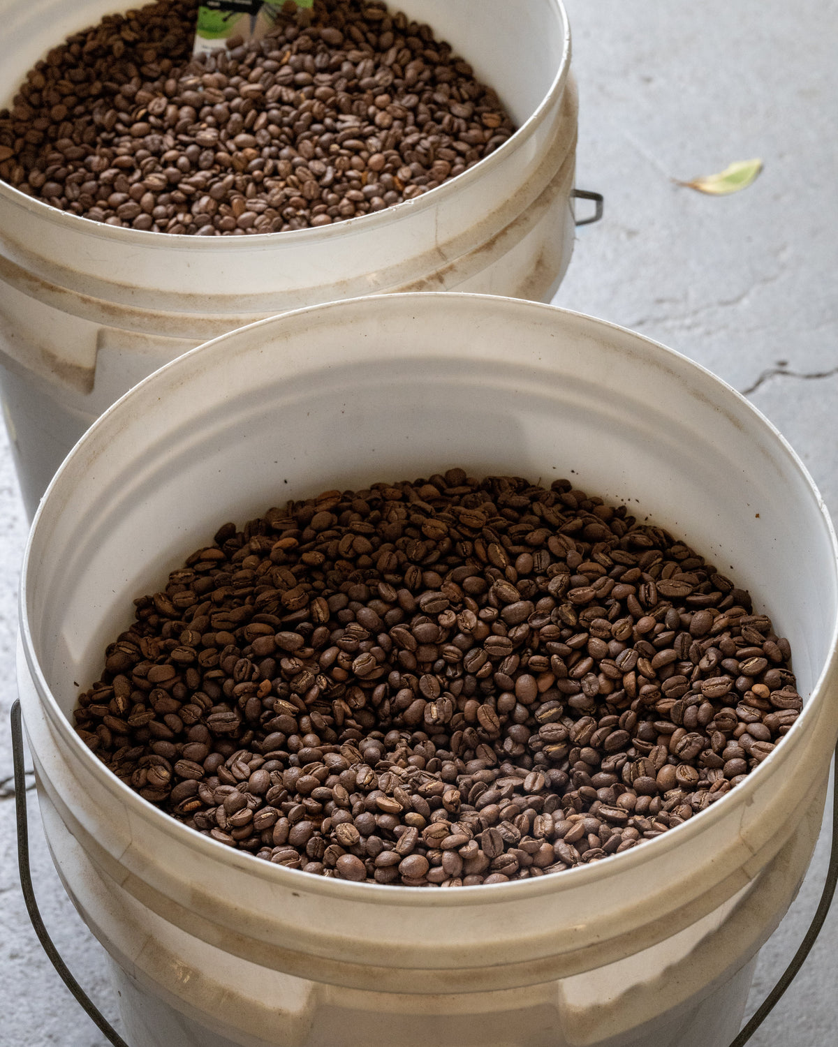 Green coffee prices are up 27%. Here's what that actually means.