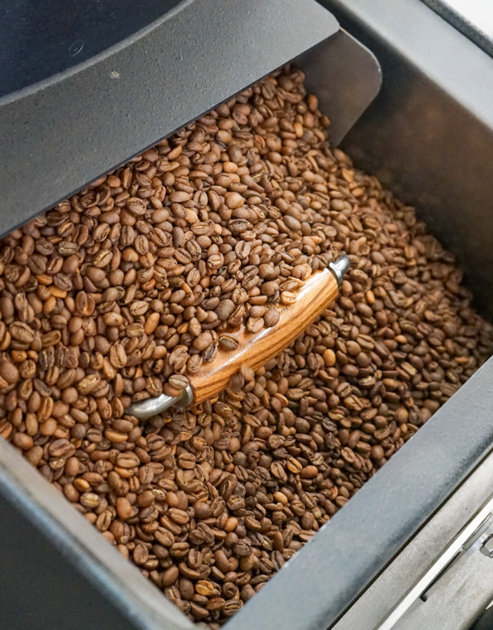 Freshly roasted specialty coffee beans from Black Market Coffee — specialty vs supermarket coffee compared