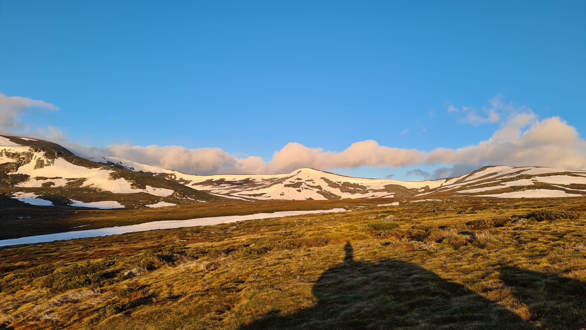 Snow-covered alpine landscape in the Snowy Mountains, Australia — the inspiration behind Black Market Coffee's Summit Blend