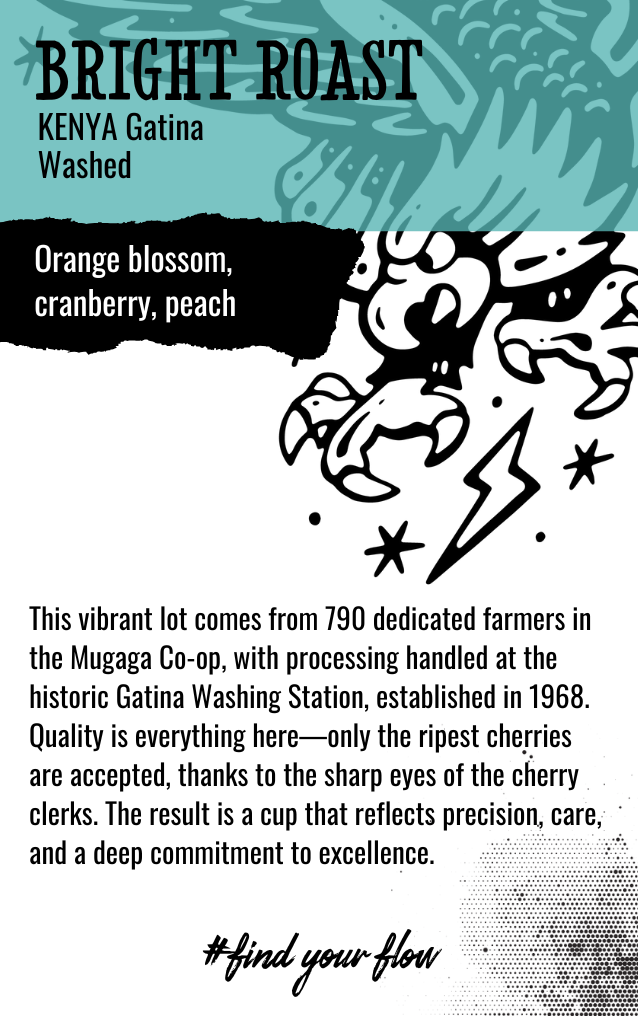 BRIGHT ROAST | Kenya, Gatina | Washed