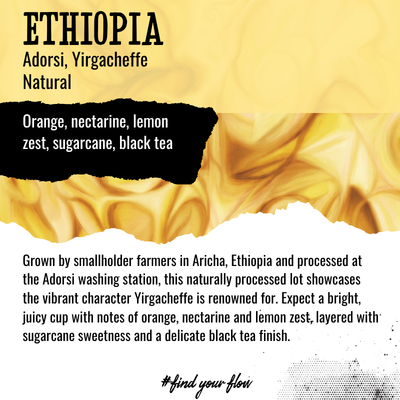 Ethiopia | Adorsi, Yirgacheffe | Natural Process