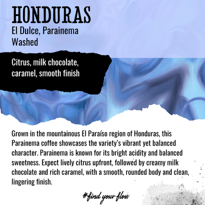 HONDURAS | El Dulce, Parainema | Washed