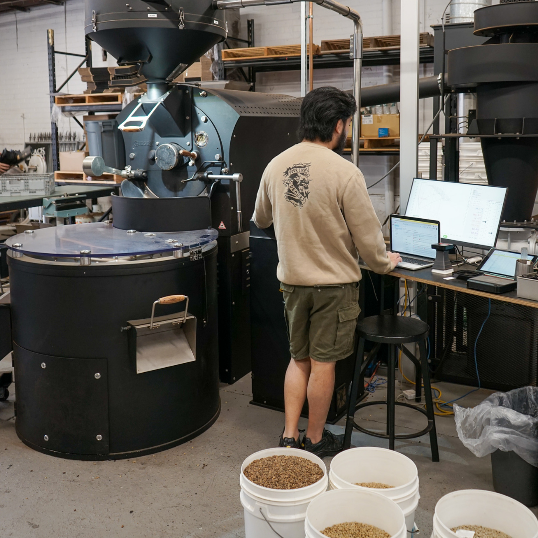 PERU San Crispin | Washed