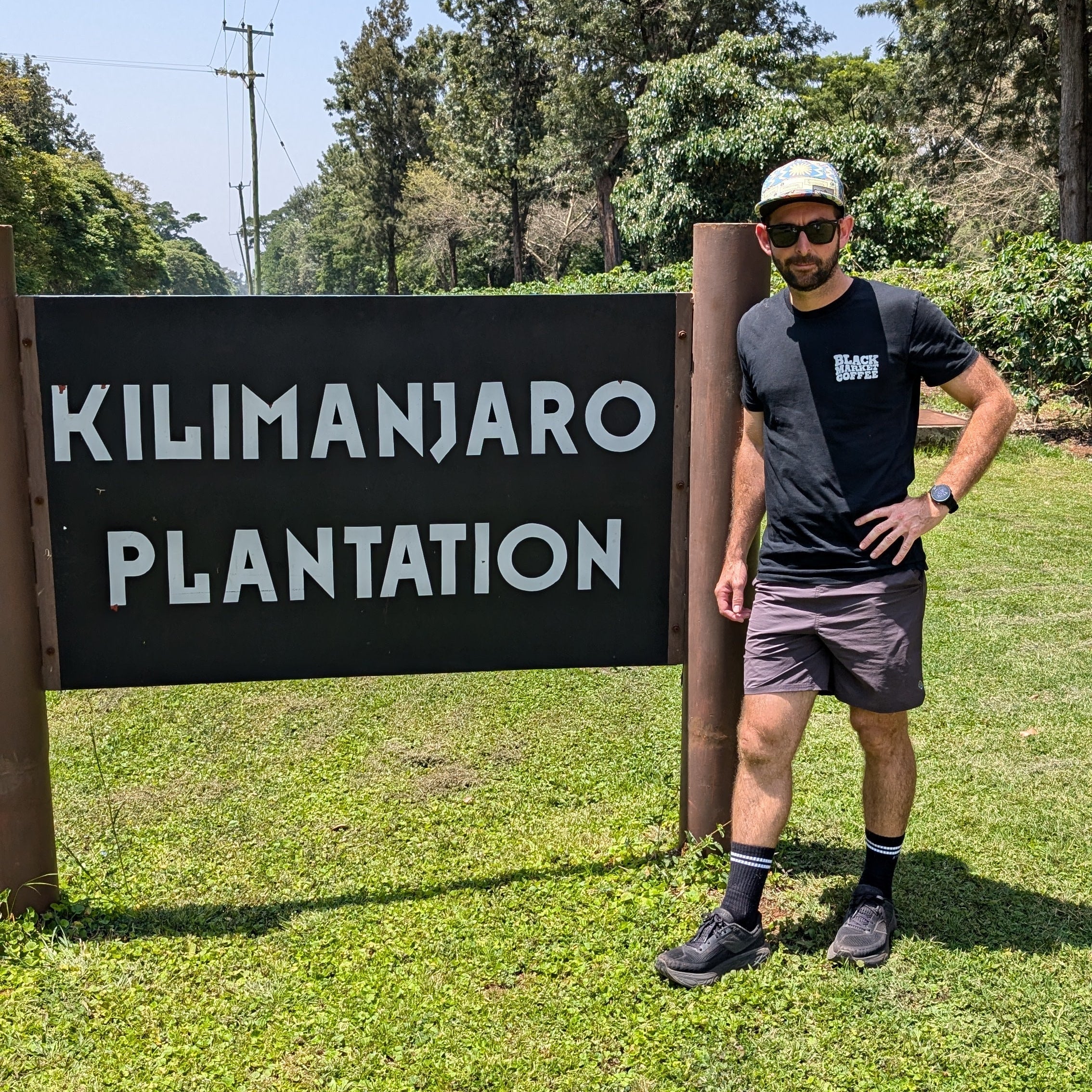 TANZANIA | Kilimanjaro Plantation | Washed