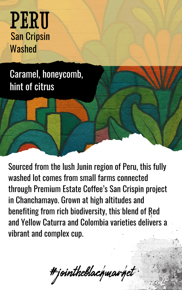 PERU | San Crispin | Washed