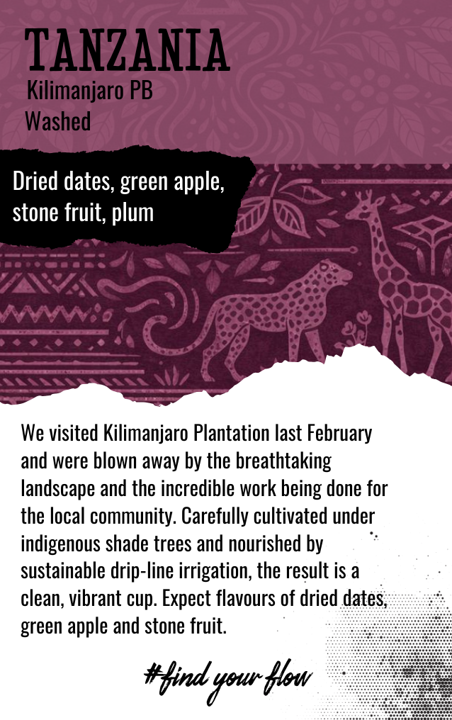 Black Market Coffee tasting card showing dried dates, green apple, stone fruit and plum flavour notes for Tanzania Kilimanjaro coffee