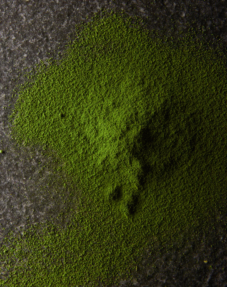 Ceremonial Grade Matcha Sydney by Black Market Coffee