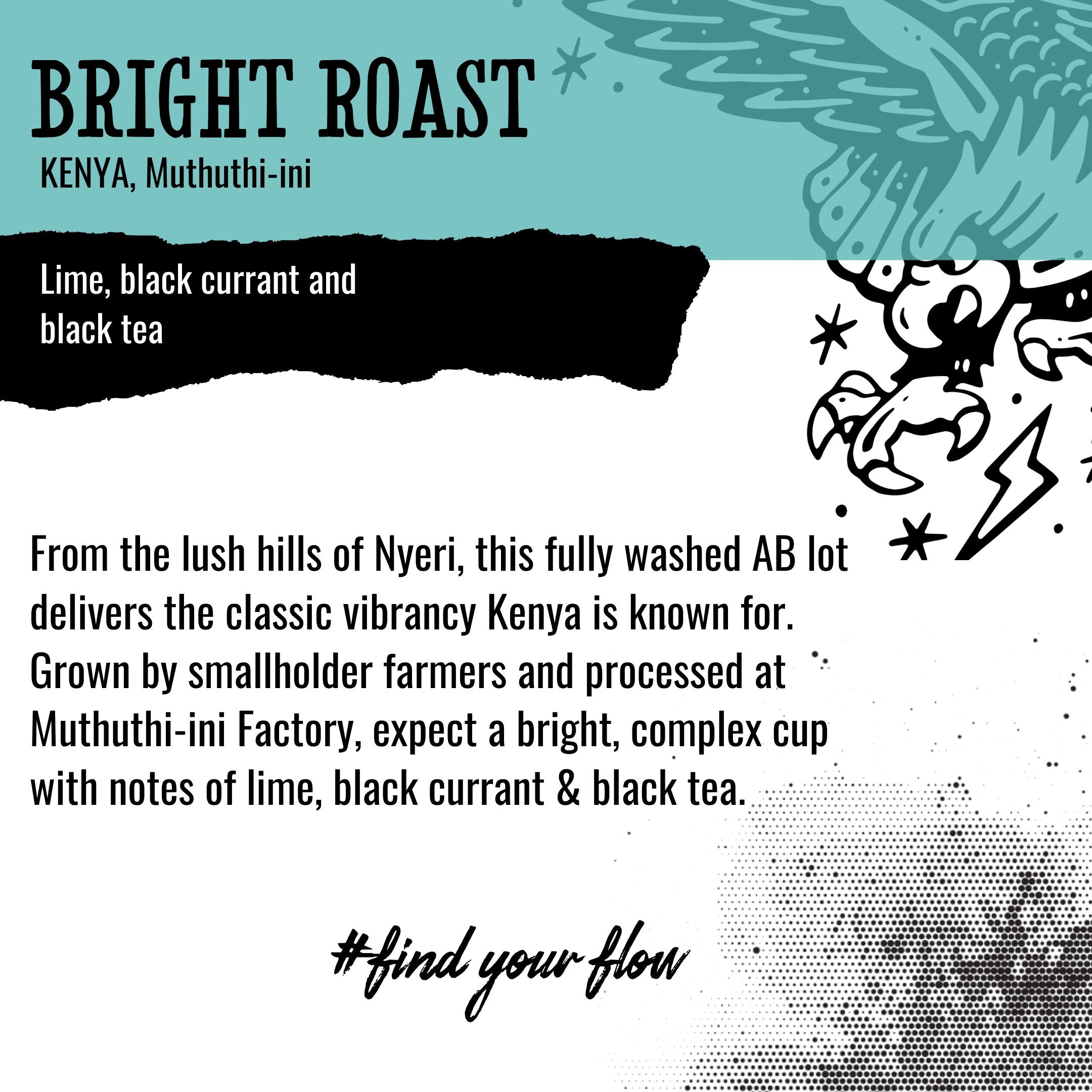 BRIGHT ROAST | Kenya, Muthuthi-ini | Washed